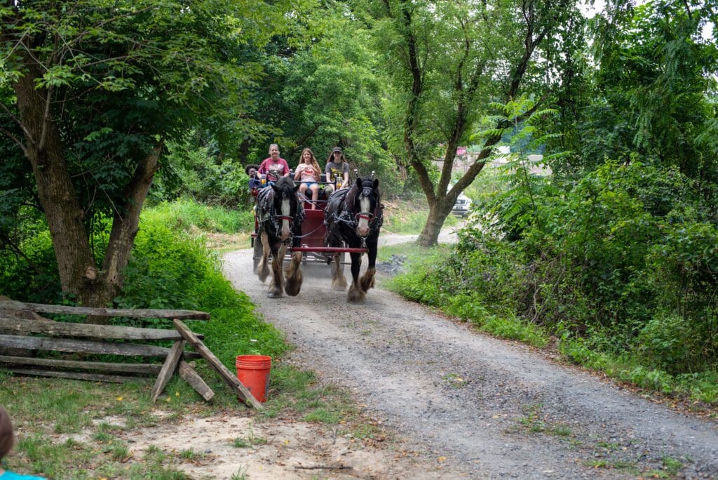 Carriage Rides Through the Community Gardens